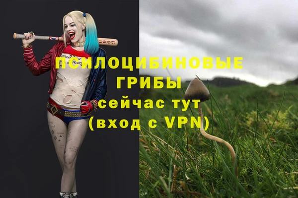 кокаин колумбия Абаза